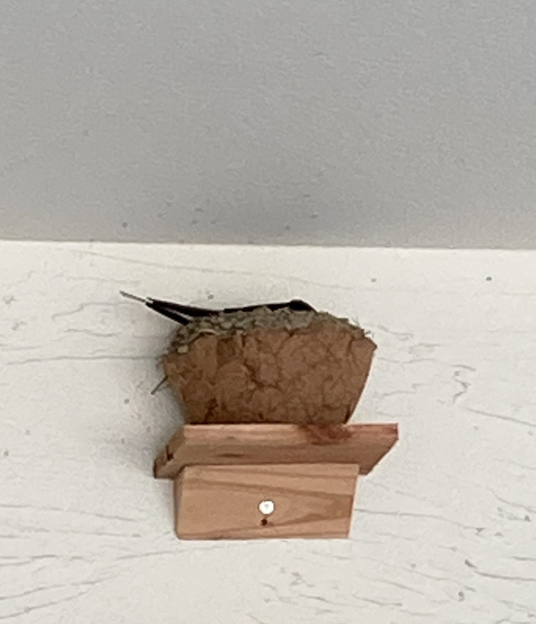 ツバメの巣づくり | クィーンズホーム｜福岡県古賀市、福津市の新築